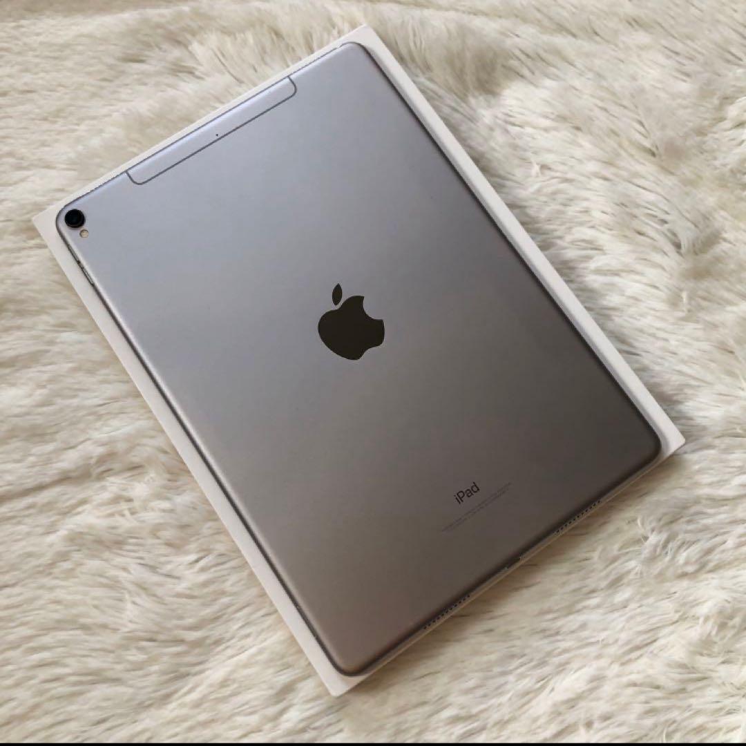 【早い者勝ち】iPad Pro 10.5 512GB 付属品多数！ 【すぐ発送】