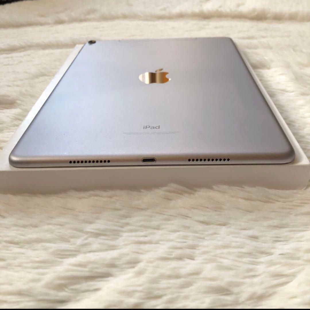 【早い者勝ち】iPad Pro 10.5 512GB 付属品多数！ 【すぐ発送】