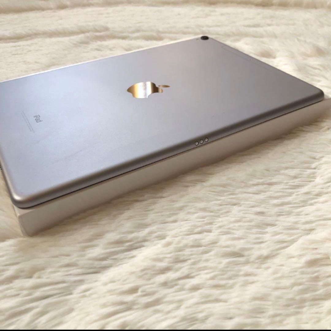 【早い者勝ち】iPad Pro 10.5 512GB 付属品多数！ 【すぐ発送】