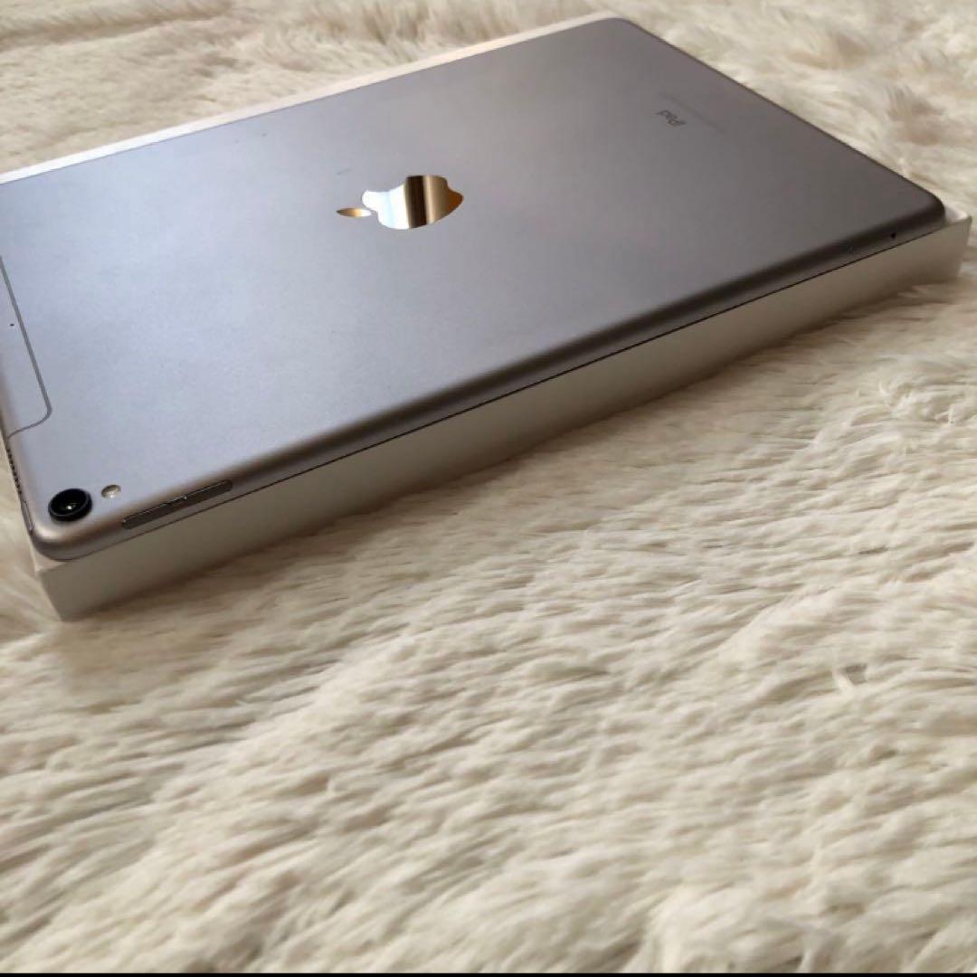 【早い者勝ち】iPad Pro 10.5 512GB 付属品多数！ 【すぐ発送】