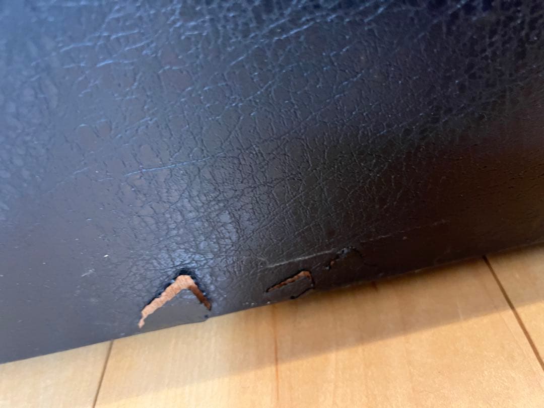 Maxtone マックストーン アルトサックス ゴールドラッカー ケース付き