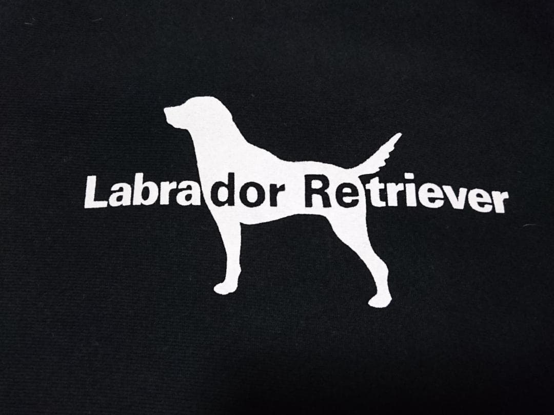 美品 90s チャンピオン リバースウィーブ ラブラドールレトリバー 黒