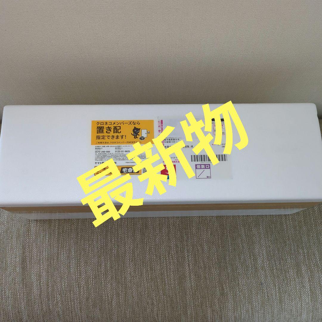 森伊蔵 1800ml 2025年6月16日到着分