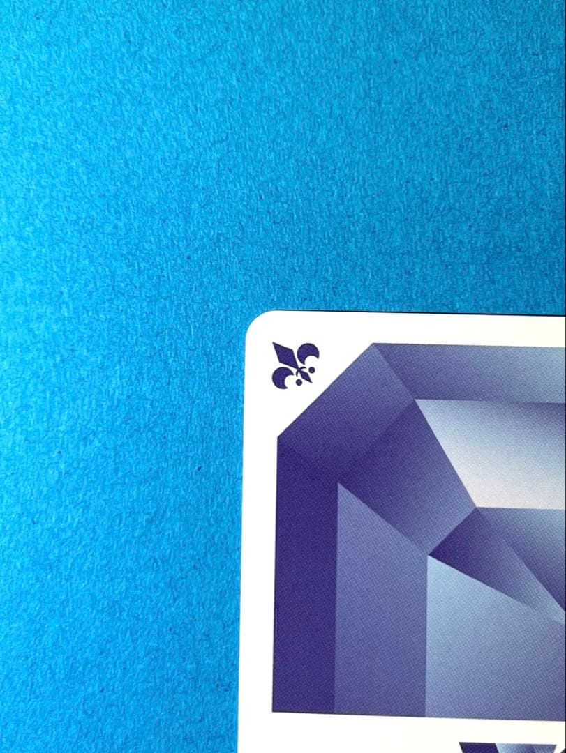 ち*こ様 薬屋のひとりごと ヴァイスシュヴァルツブラウ 園遊会の装い 猫猫 SP