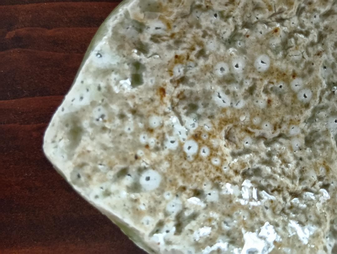 蓮善隆　灰釉平向付５客セット（伊賀焼）