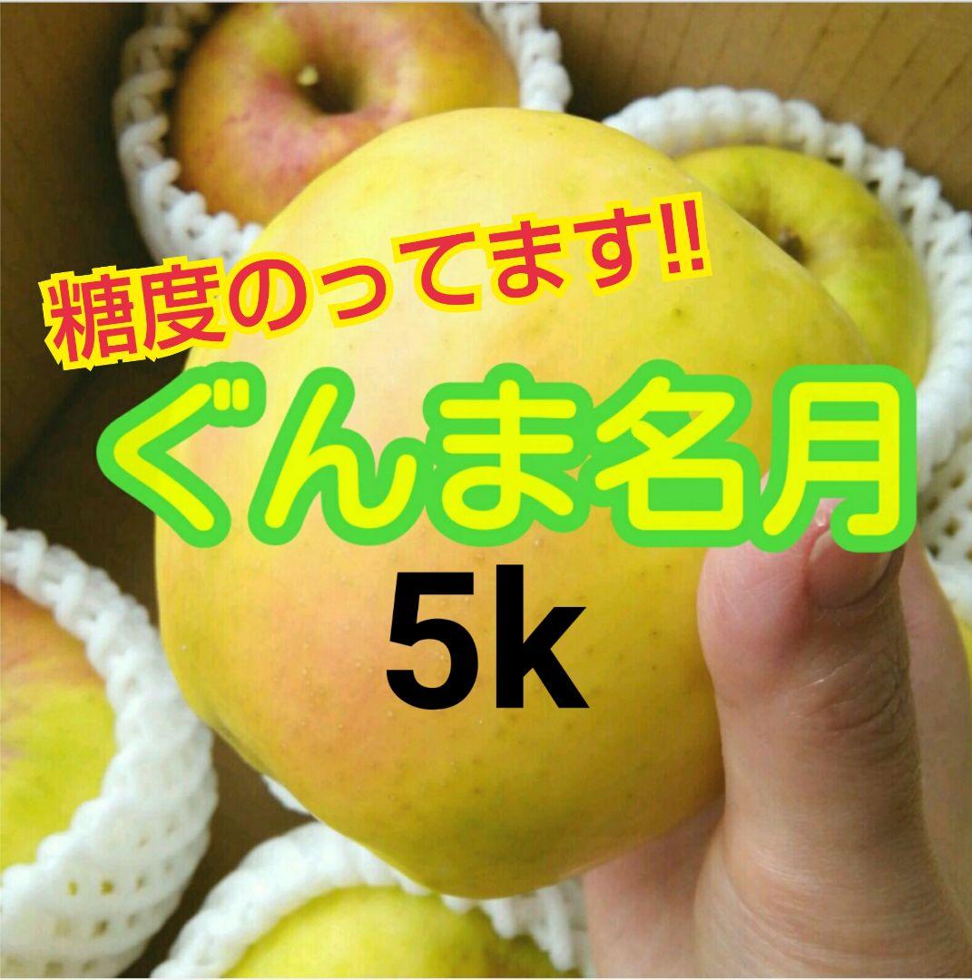 じぃじの美味しい林檎　ぐんま名月5k×2