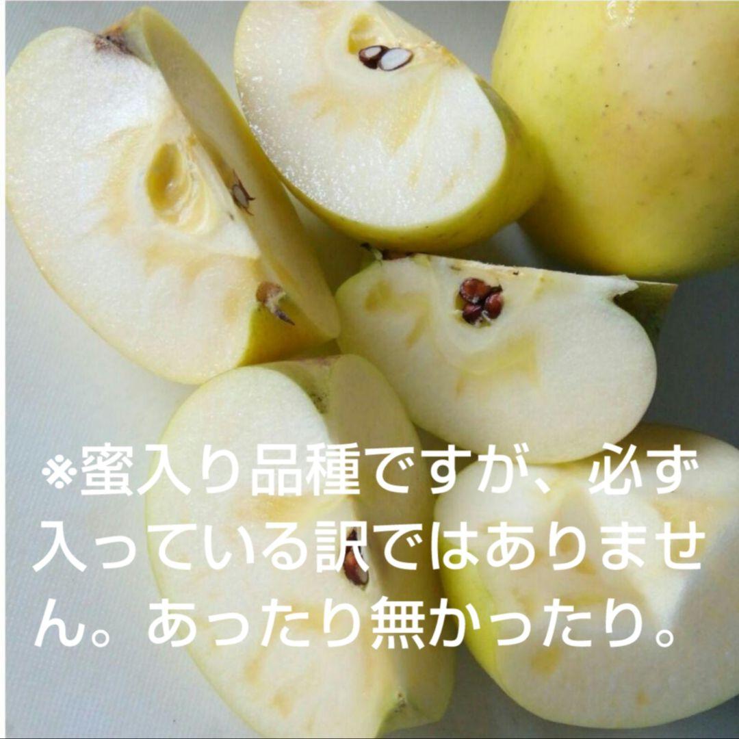 じぃじの美味しい林檎　ぐんま名月5k×2