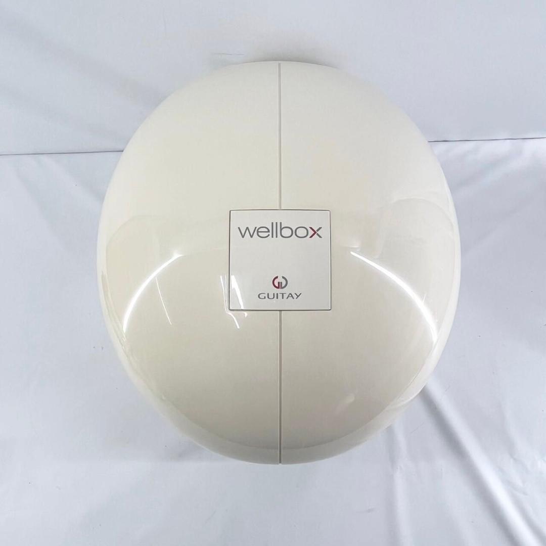 【美品】 wellbox　ウェルボックス 家庭用エンダモロジー