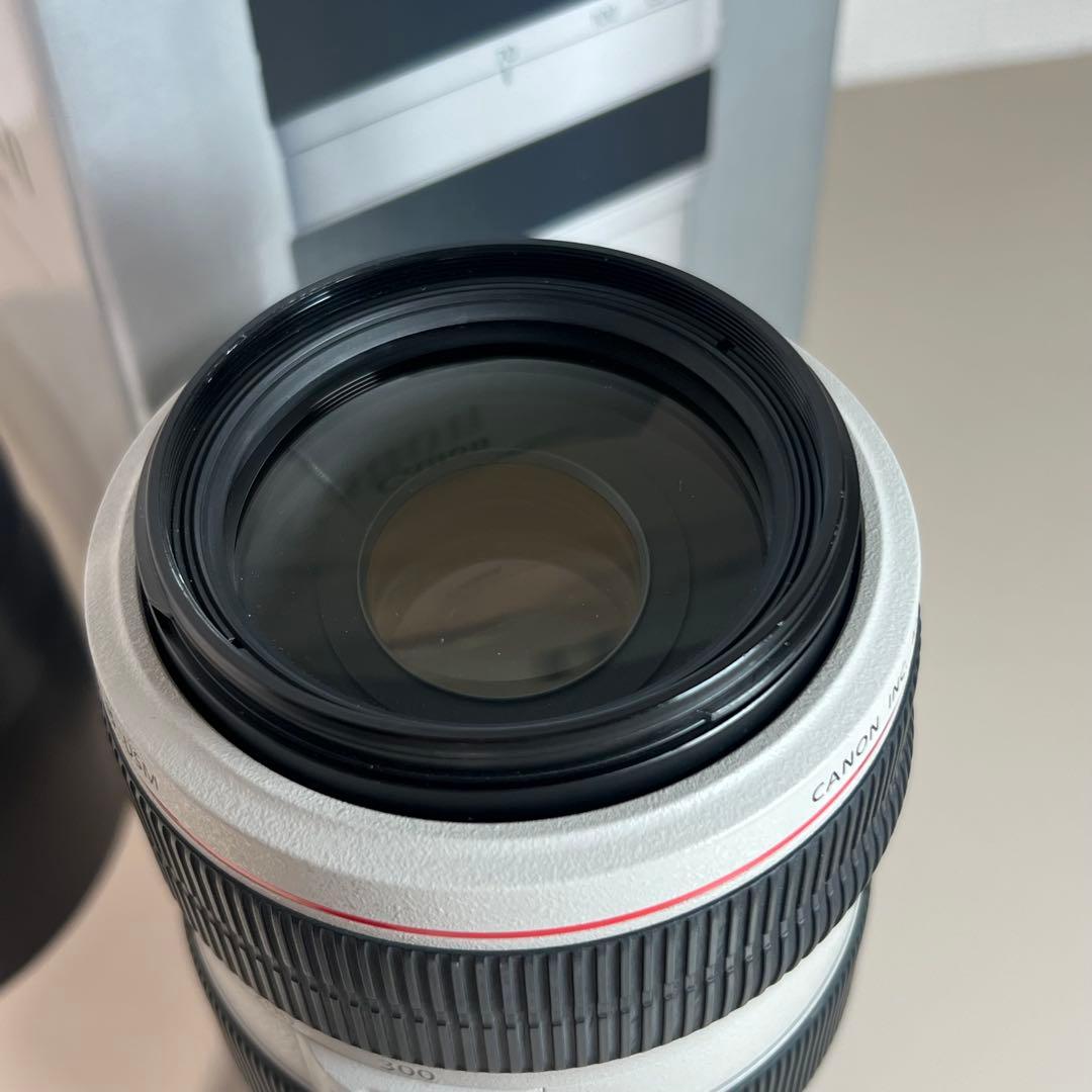 CANON キヤノン EF 70-300mm f4-5.6 L IS USM