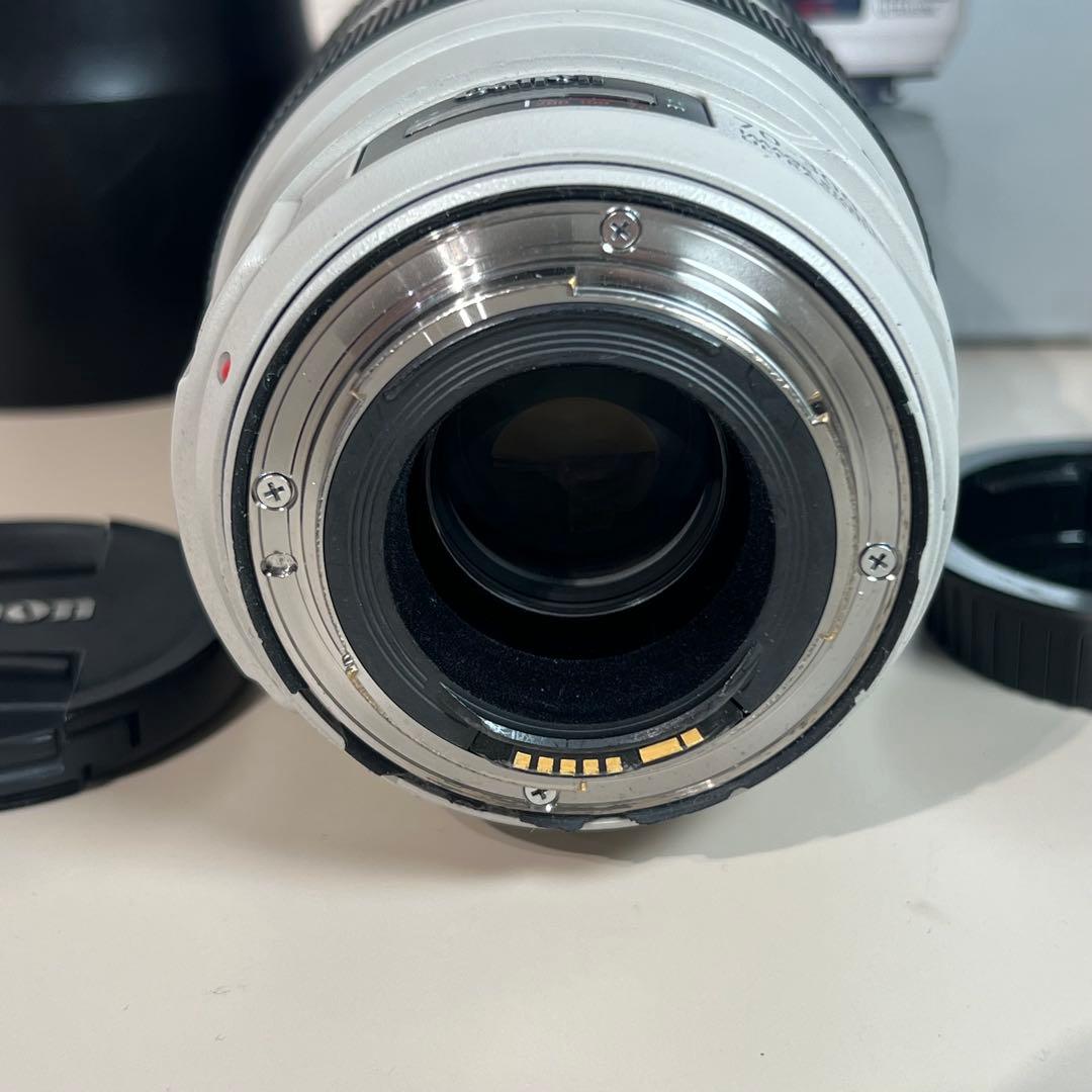 CANON キヤノン EF 70-300mm f4-5.6 L IS USM