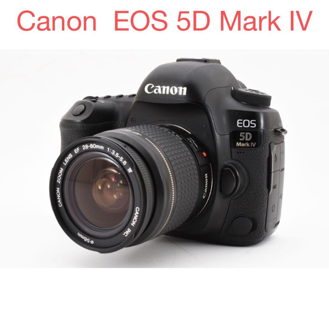 保証/動画/Canon EOS 5D Mark IV標準レンズセット