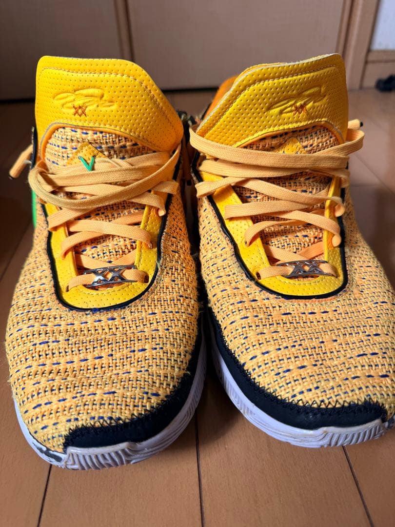 ナイキ レブロン20