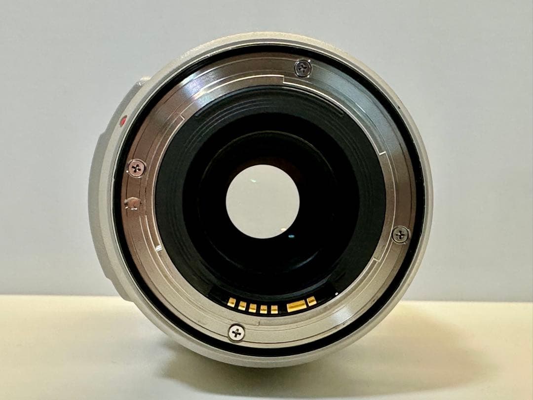 【美品】Canon EF70-300mm F4-5.6L IS USM 動作良好