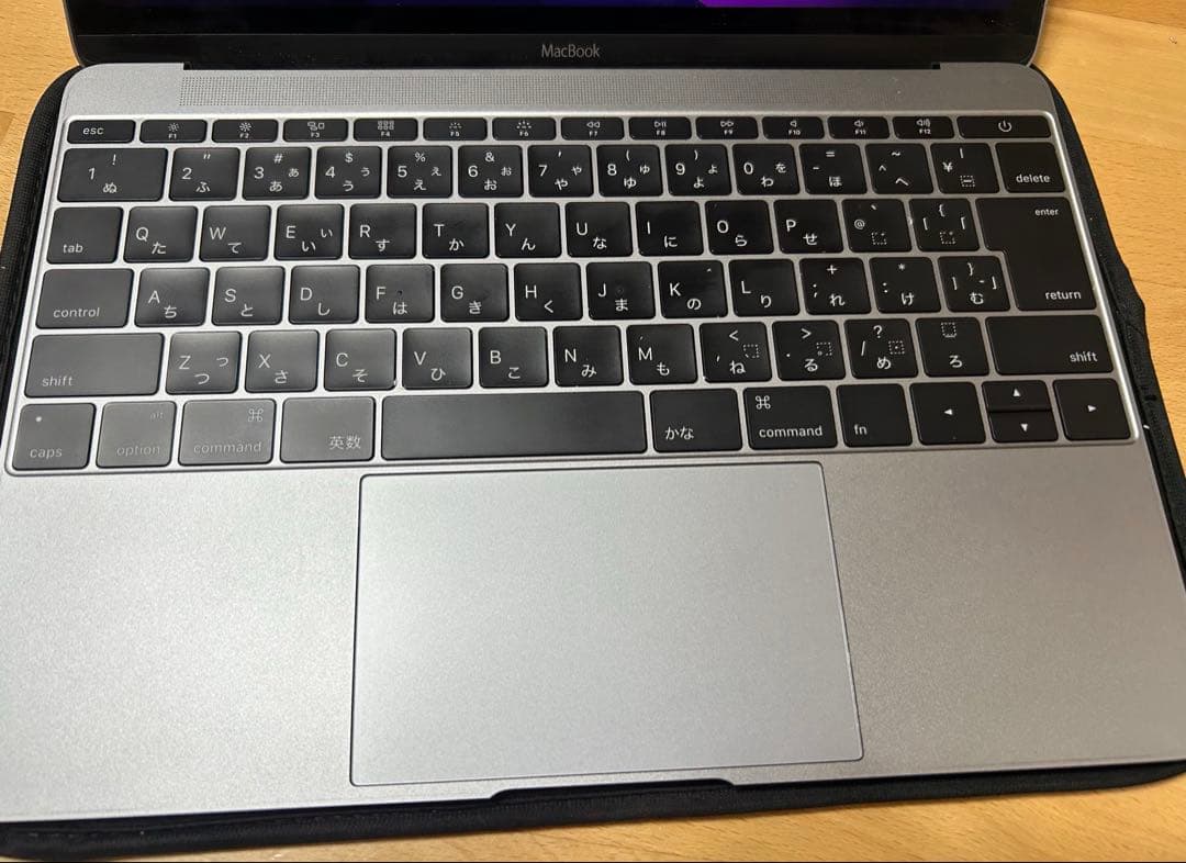 MacBook本体 MacBook(Retina,12-inch, Early 2016)