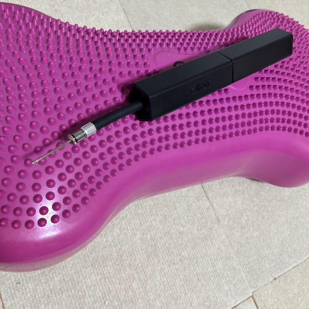 犬　バランスボーン　バランスボール　空気入れ付き