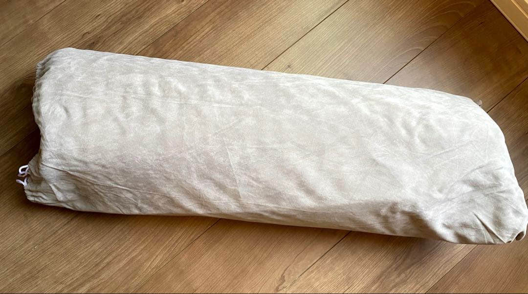 最終値下げ　DENBAHealth Charge デンバヘルスチャージ