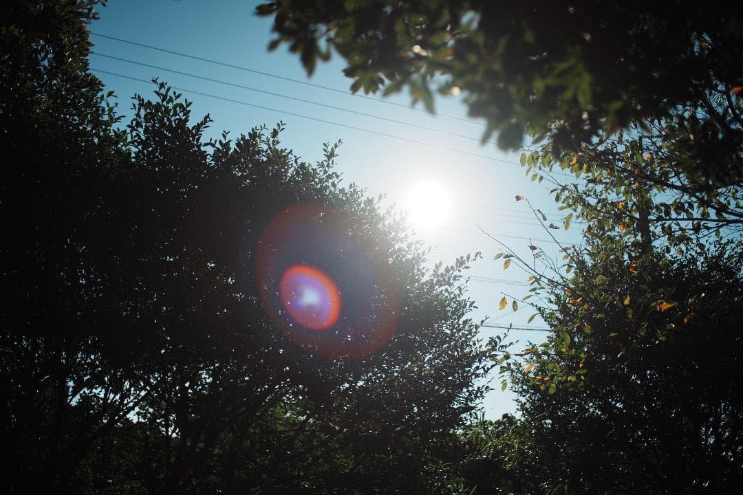 【整備＆テスト済】Nikon Ai Nikkor 35mm F2 ニコン 437