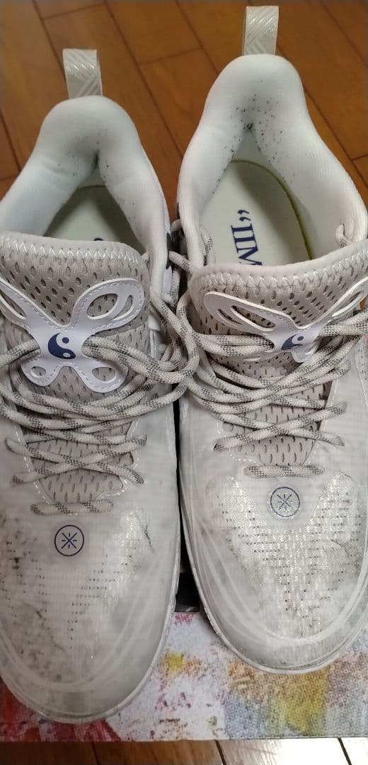 リーニン　シューズ　Dlo1