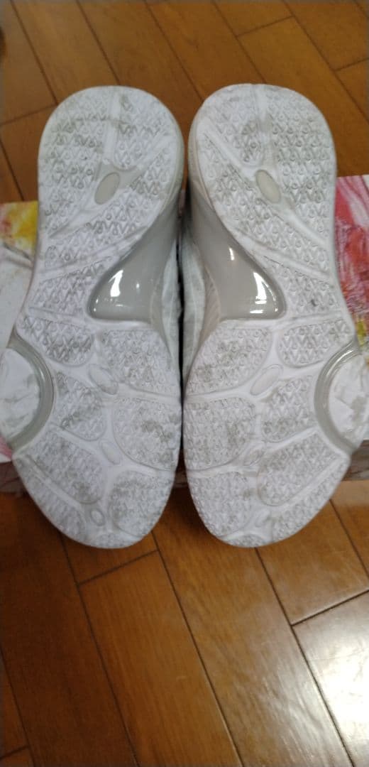 リーニン　シューズ　Dlo1