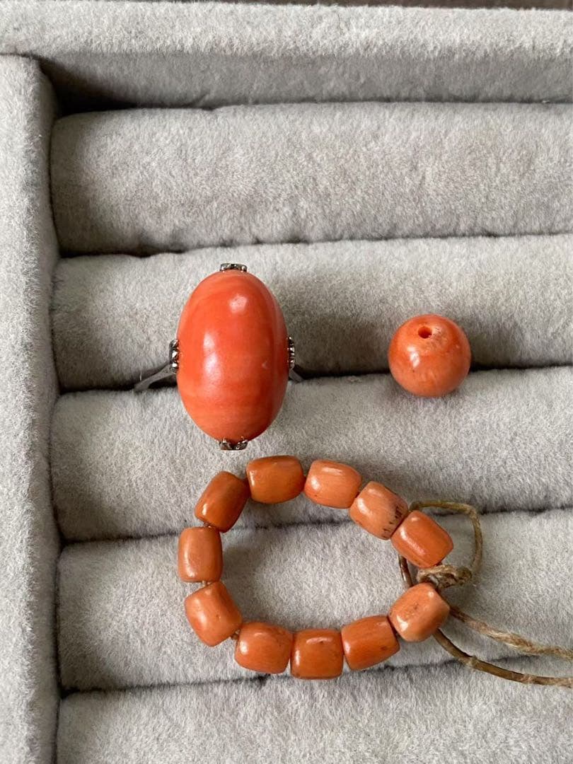 アクセサリー珊瑚リッグ17.mm（169）