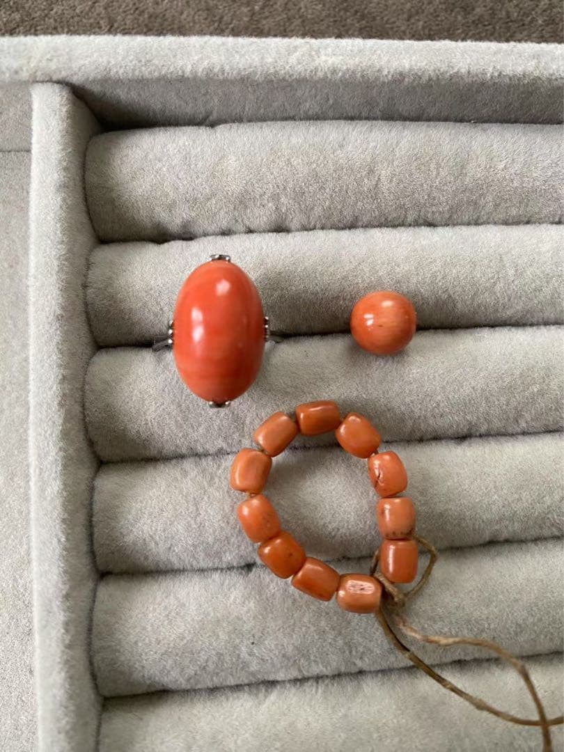 アクセサリー珊瑚リッグ17.mm（169）