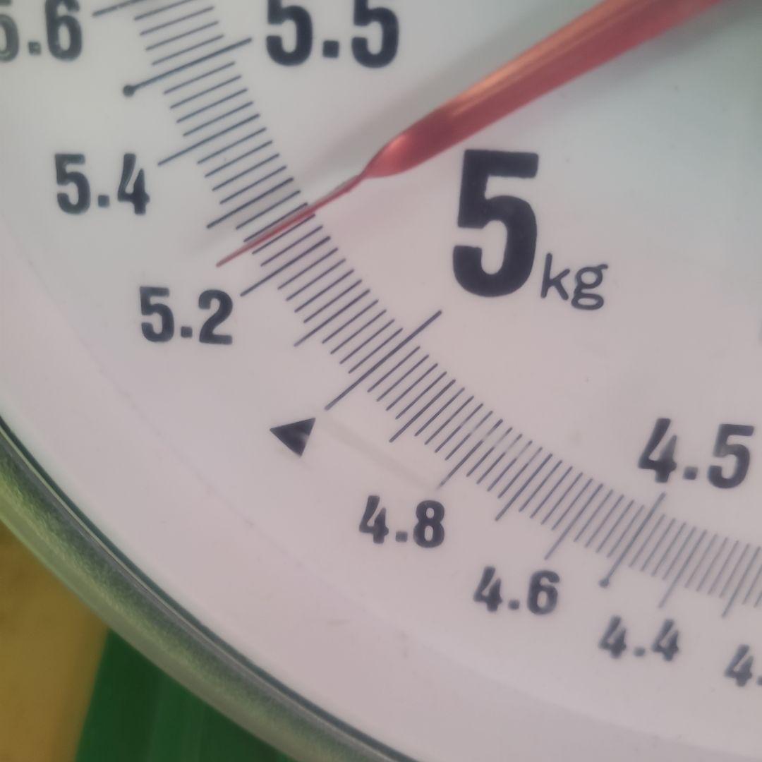 2️⃣ 山梨県産 シャインマスカット １１房入り 箱込み5.2キロ