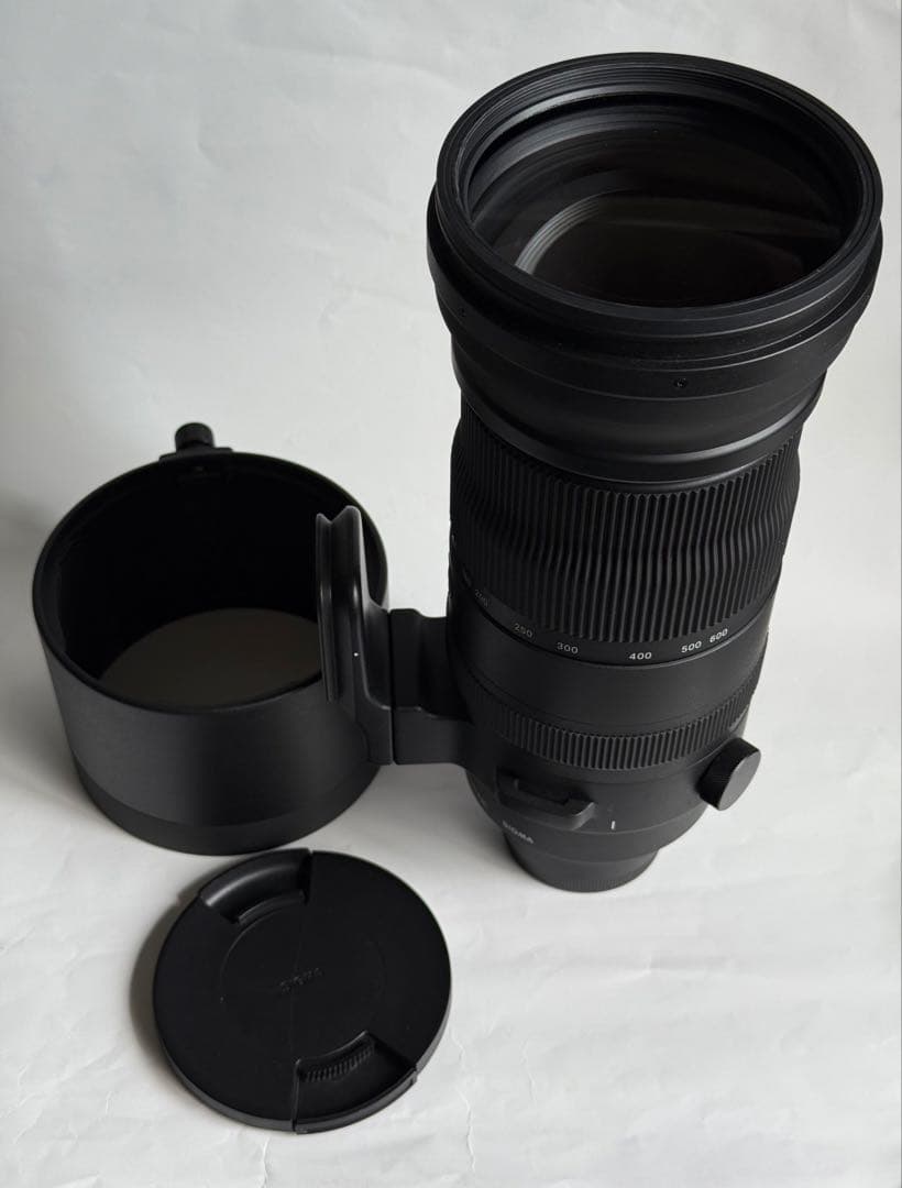 レンズ(ズーム) SIGMA 150-600mm F5-6.3 DG DN OS Sports