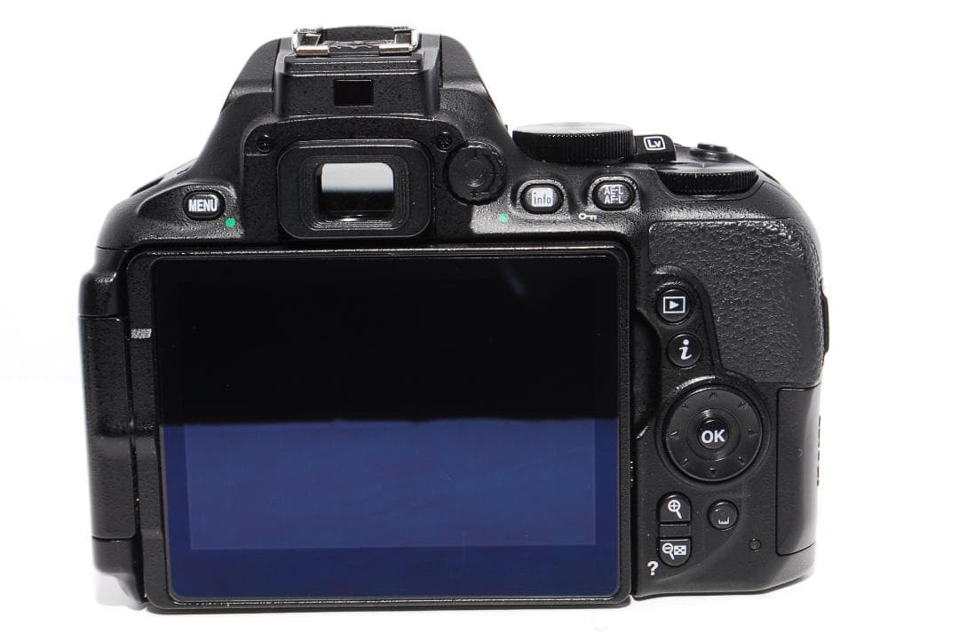 ✨届いてすぐ使える Bluetooth搭載✨Nikon D5600 レンズセット