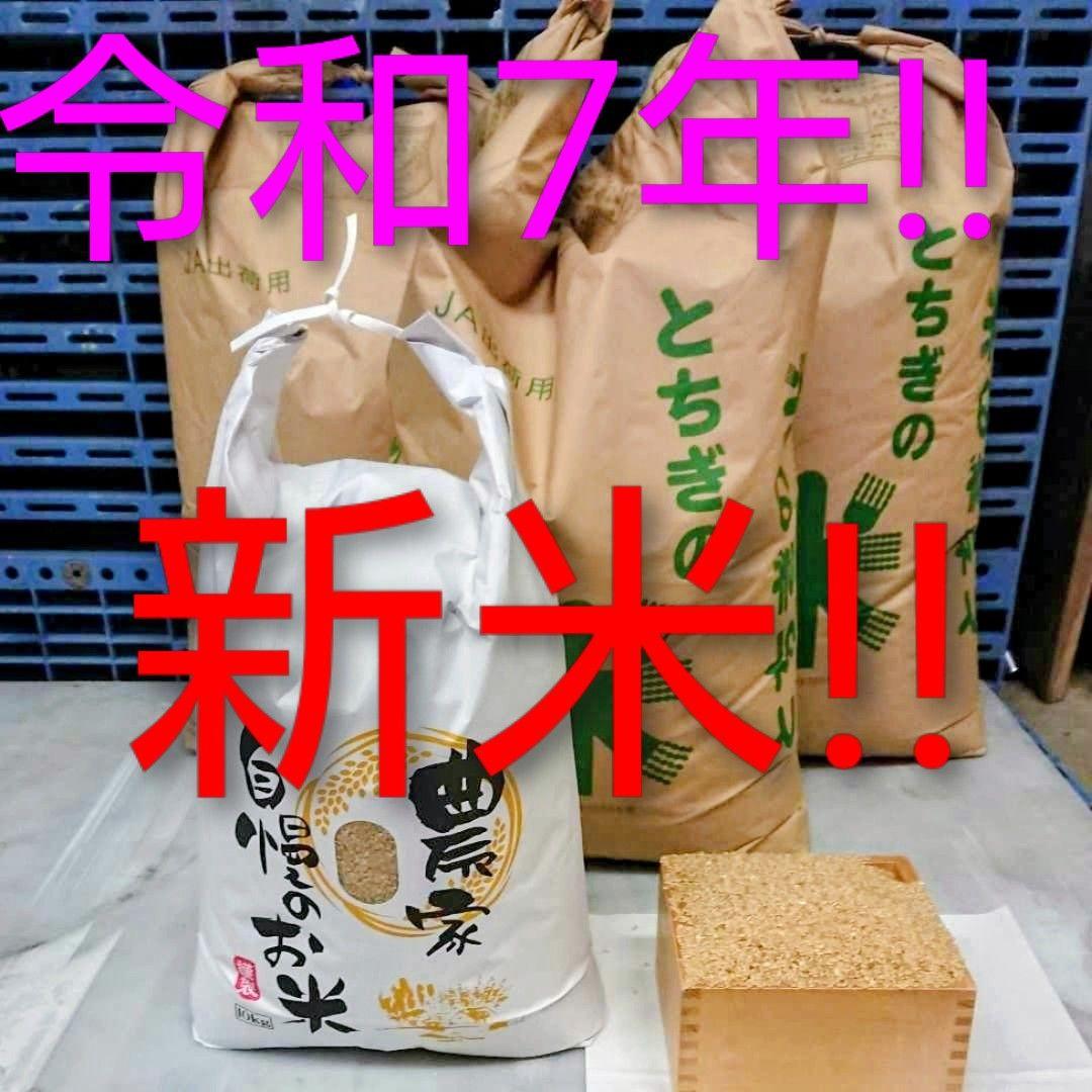 令和7年 新米！精米無料！玄米20キロ 栃木県大田原 黒羽産コシヒカリ 20㎏