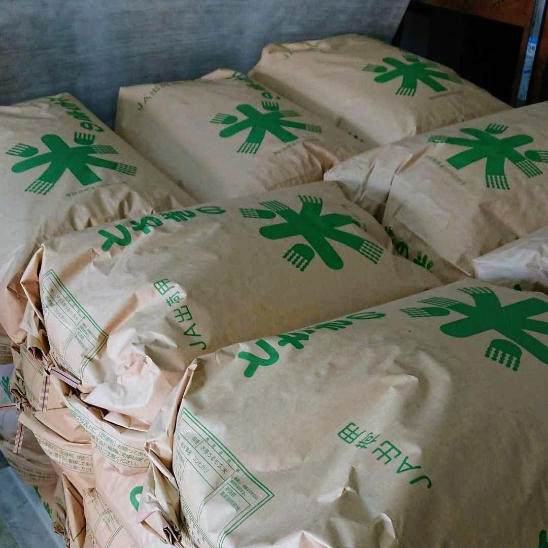 令和7年 新米！精米無料！玄米20キロ 栃木県大田原 黒羽産コシヒカリ 20㎏