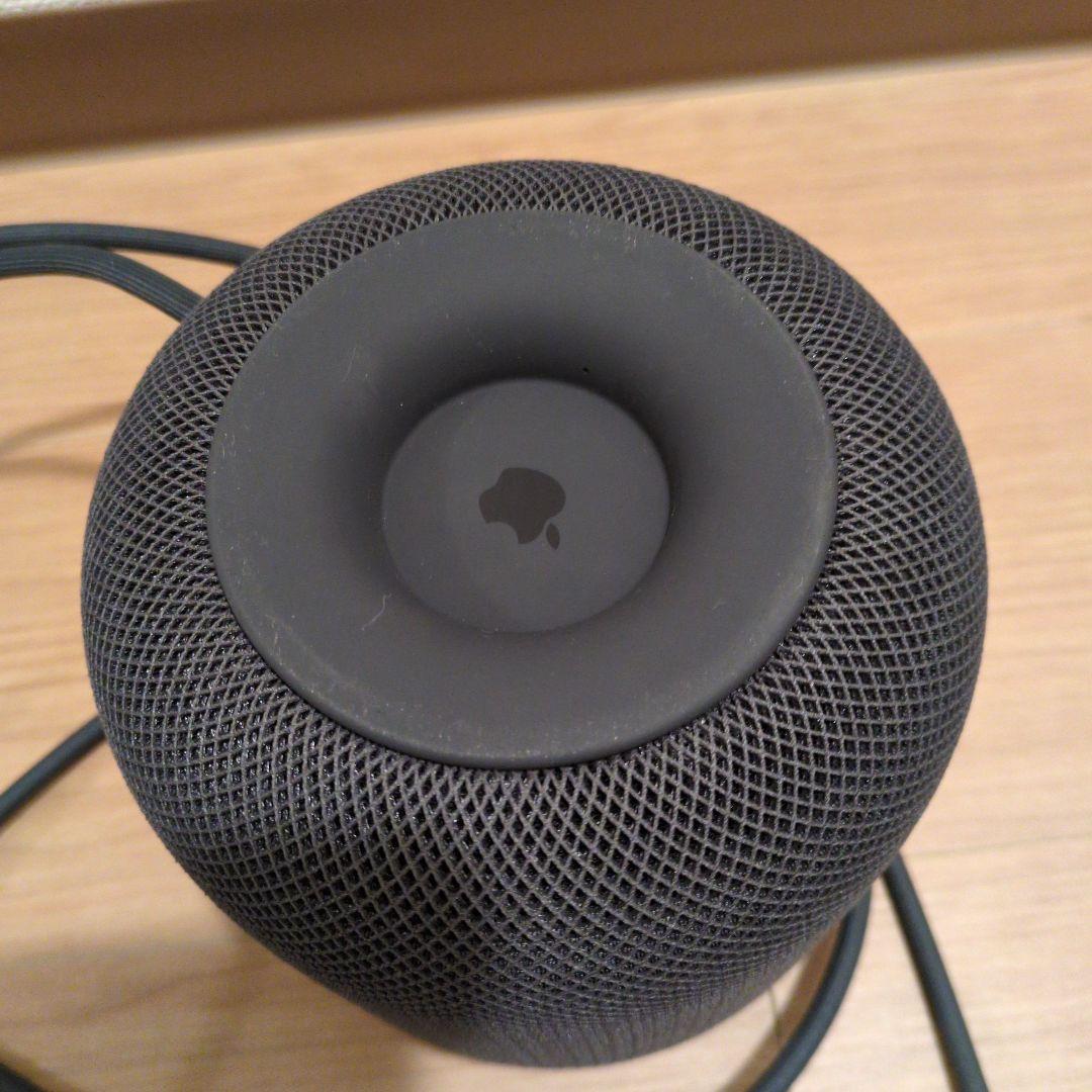 Apple Pod ブラック