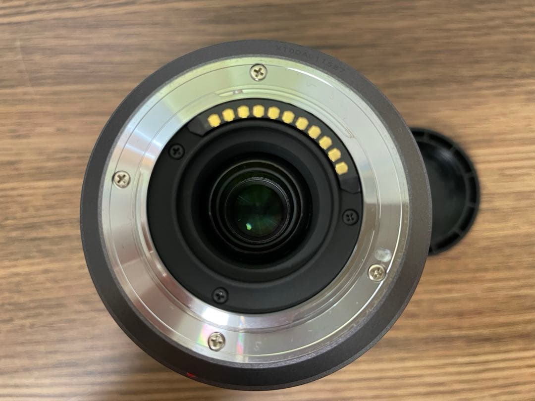 H-FS045200 パナソニック 望遠ズームレンズ マイクロフォーサーズ用