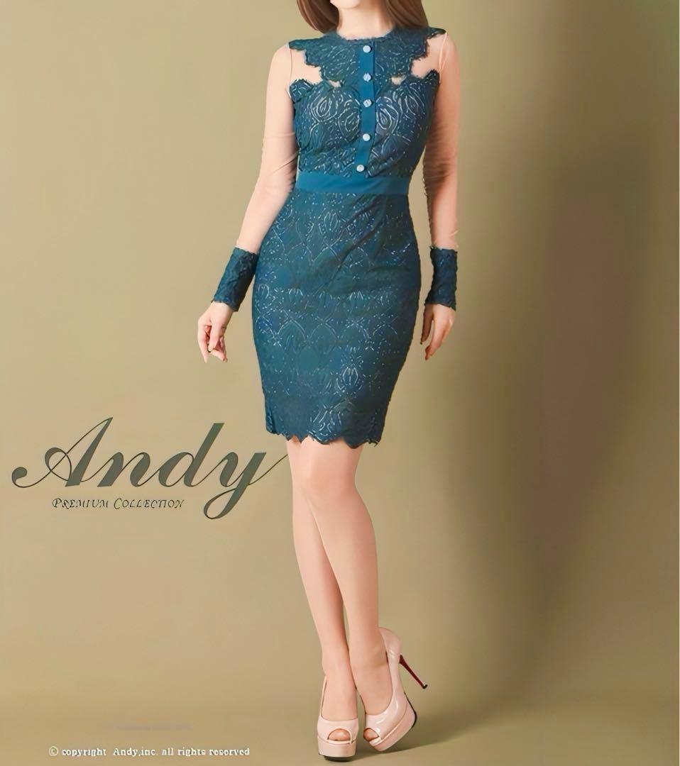 [新品] Andy 妖艶の透け感★ キャバドレス 袖ありドレス 長袖 Ｍ