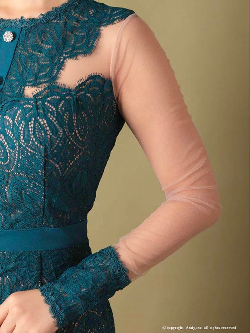 [新品] Andy 妖艶の透け感★ キャバドレス 袖ありドレス 長袖 Ｍ