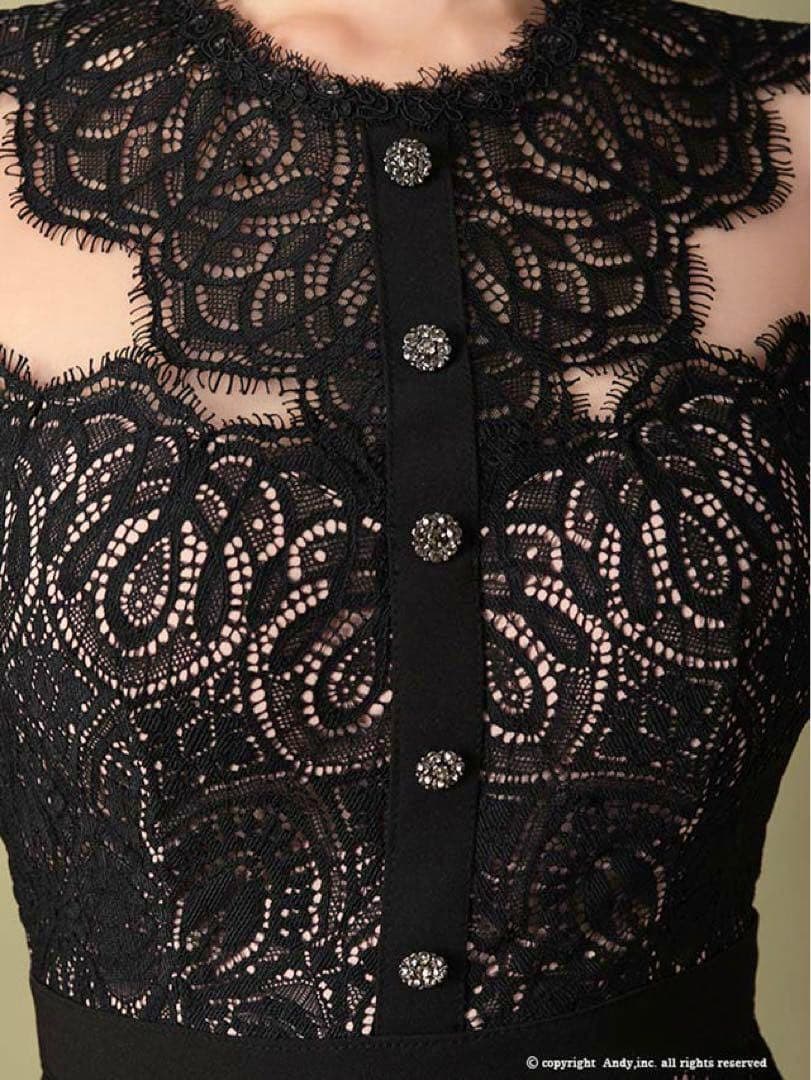 [新品] Andy 妖艶の透け感★ キャバドレス 袖ありドレス 長袖 Ｍ