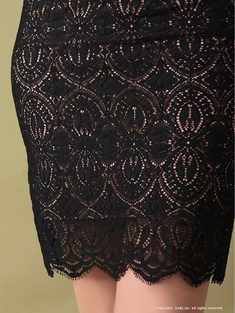 [新品] Andy 妖艶の透け感★ キャバドレス 袖ありドレス 長袖 Ｍ