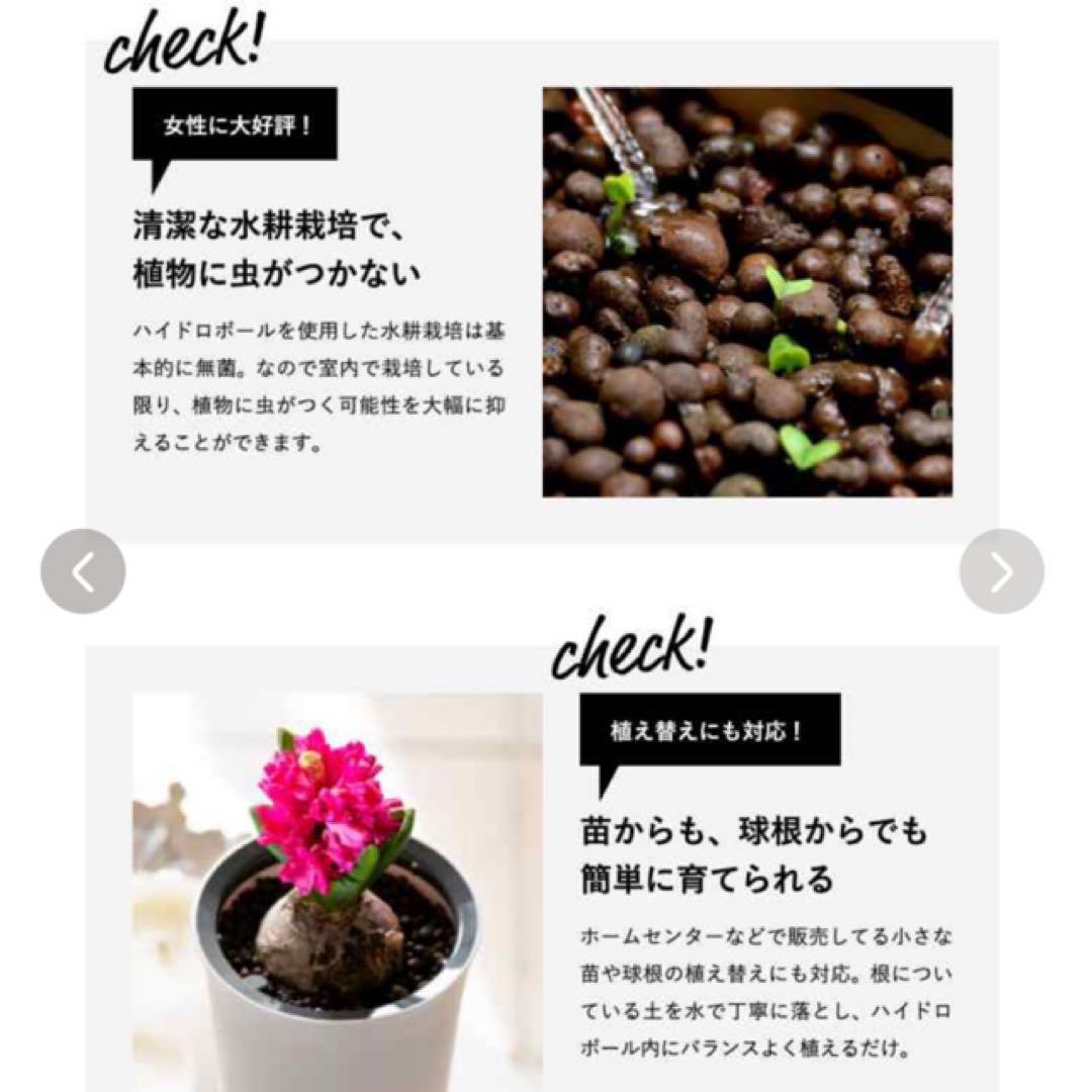 くーちゃんさん専用