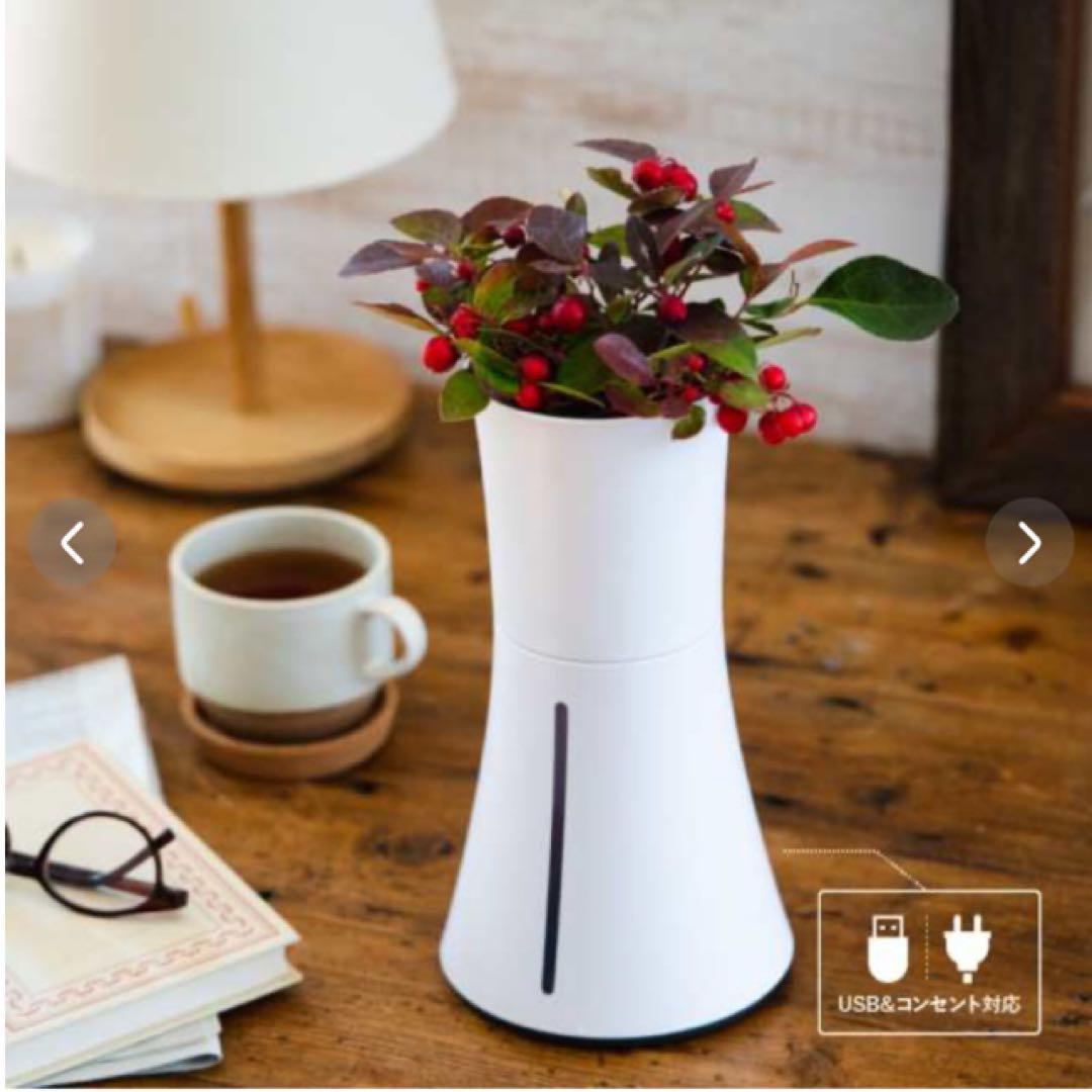 くーちゃんさん専用