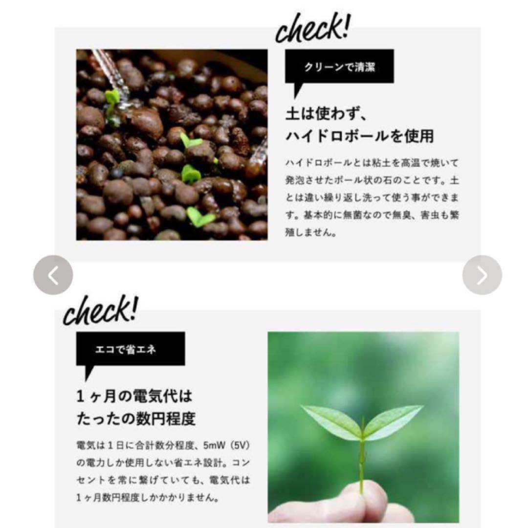 くーちゃんさん専用