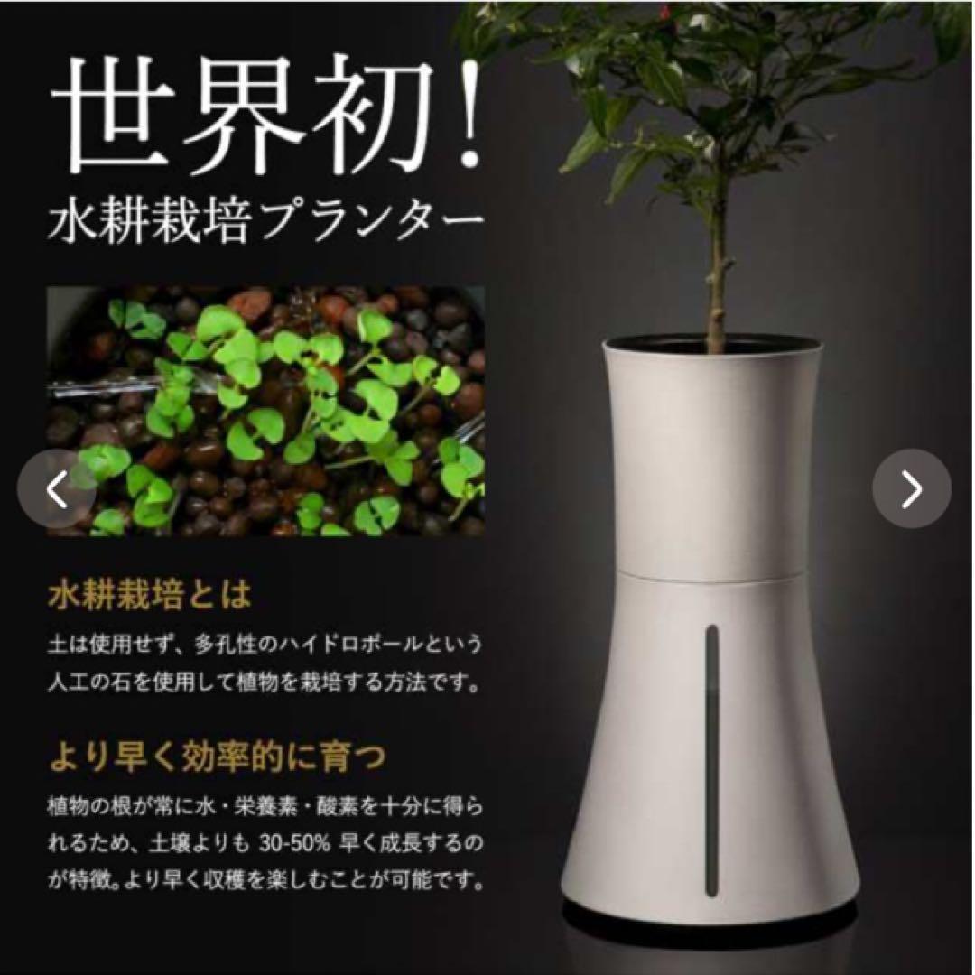 くーちゃんさん専用