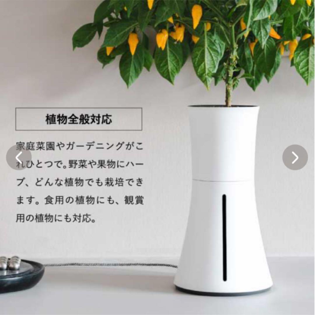 くーちゃんさん専用