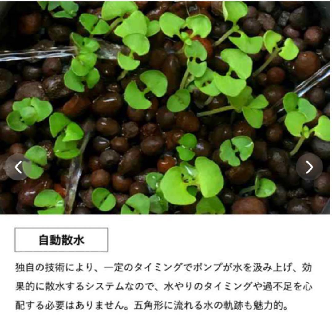 くーちゃんさん専用