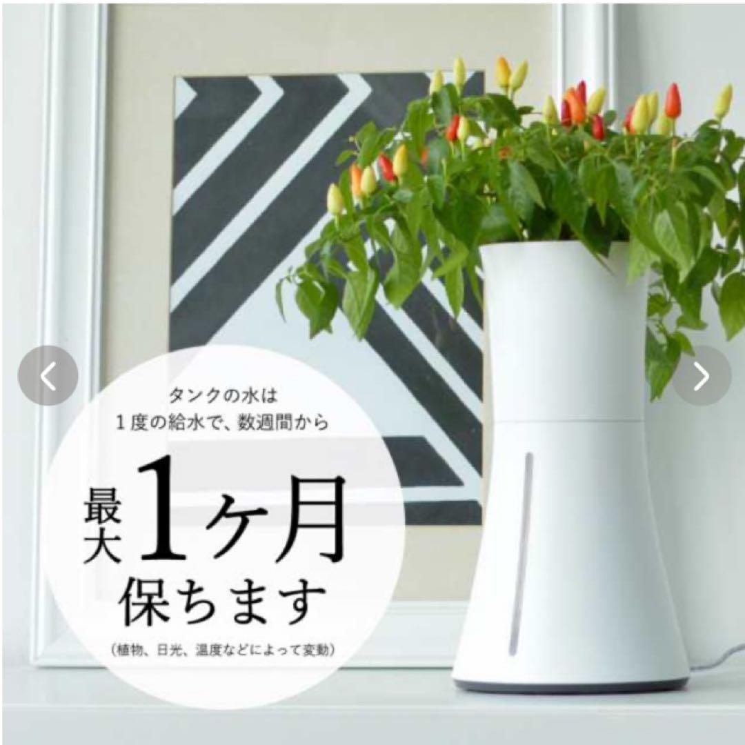 くーちゃんさん専用