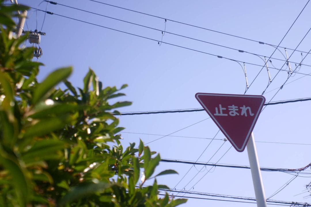 スマホ転送OK！Canon EOS kiss Digital レンズキット