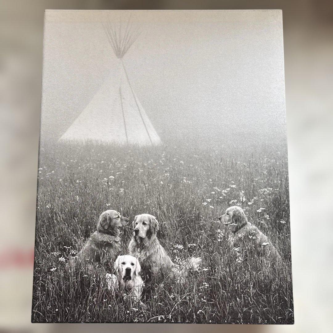 洋書 GOLDEN RETRIEVER PHOTOGRAPHIC SOCIEYT