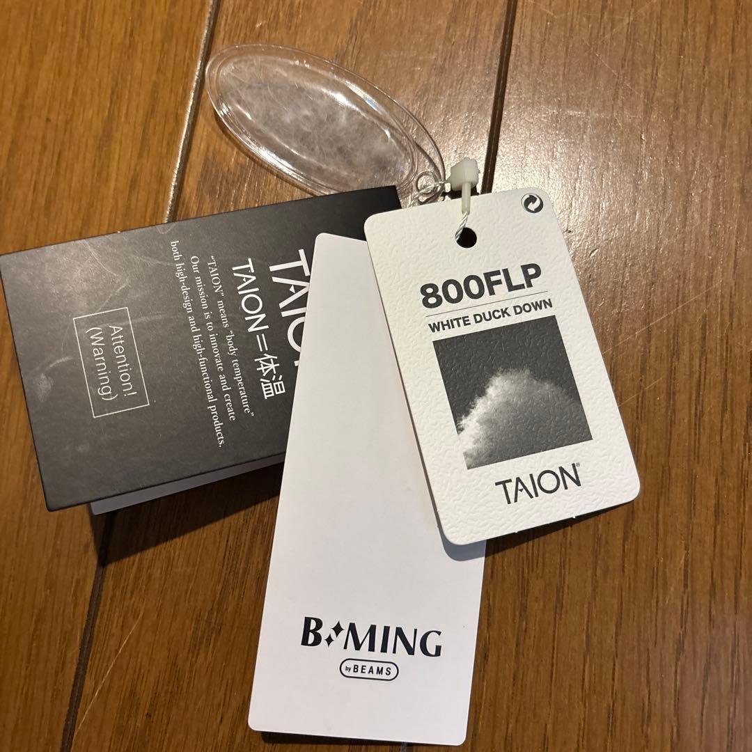 BEAMSダウンジャケット 「別注」TAION / ダウン フーディー メンズ