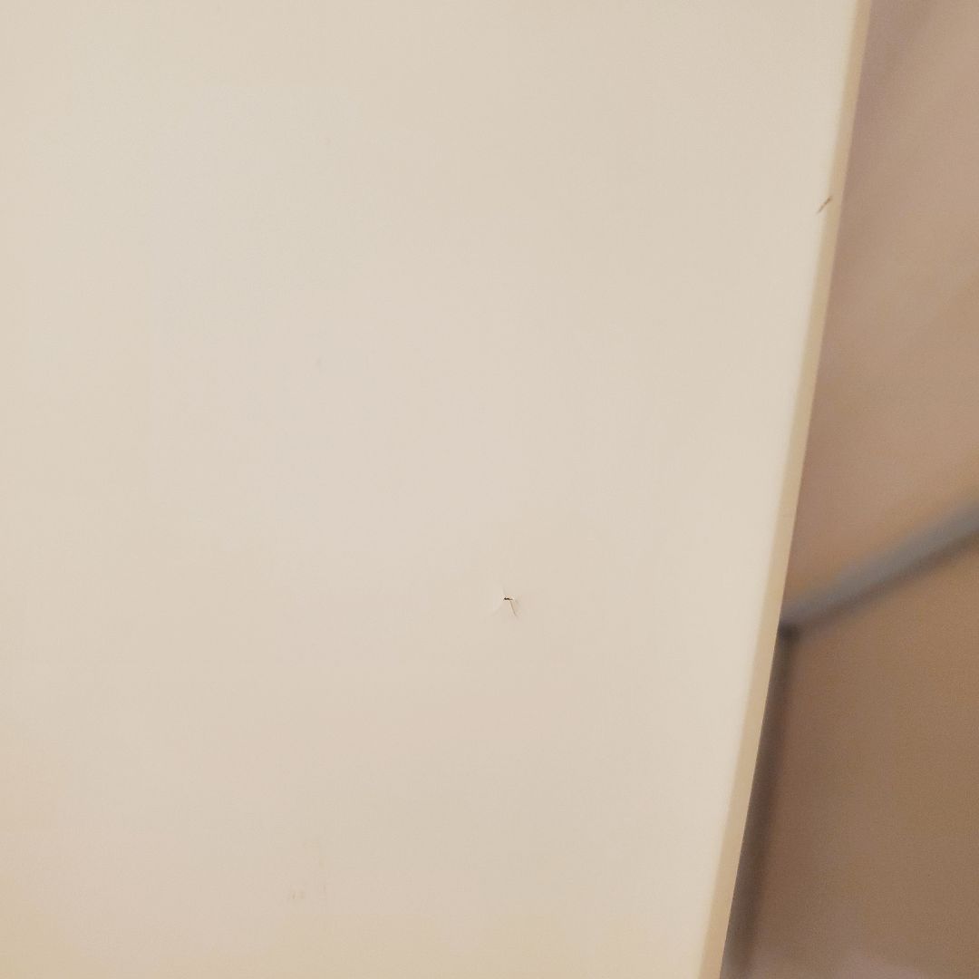 Francfranc♡ファム♡キャビネット