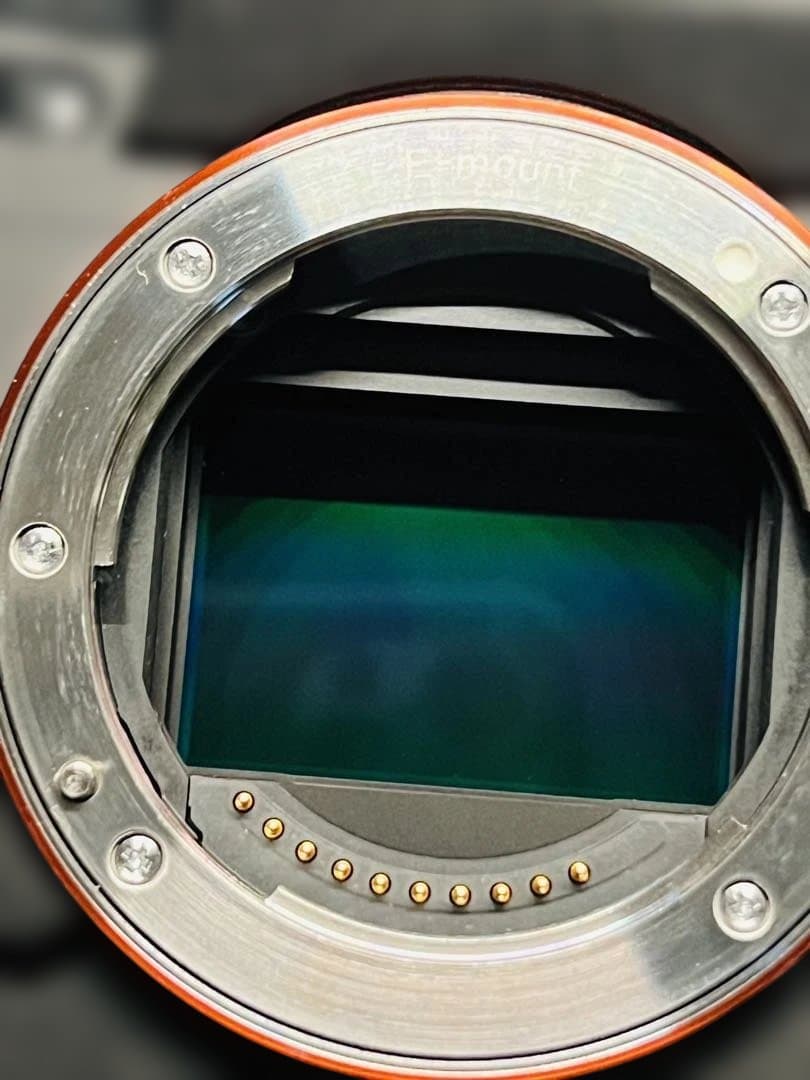 SONY α7Sⅲ ILCE-7SM3 撮影回数637枚 アクセサリー付き