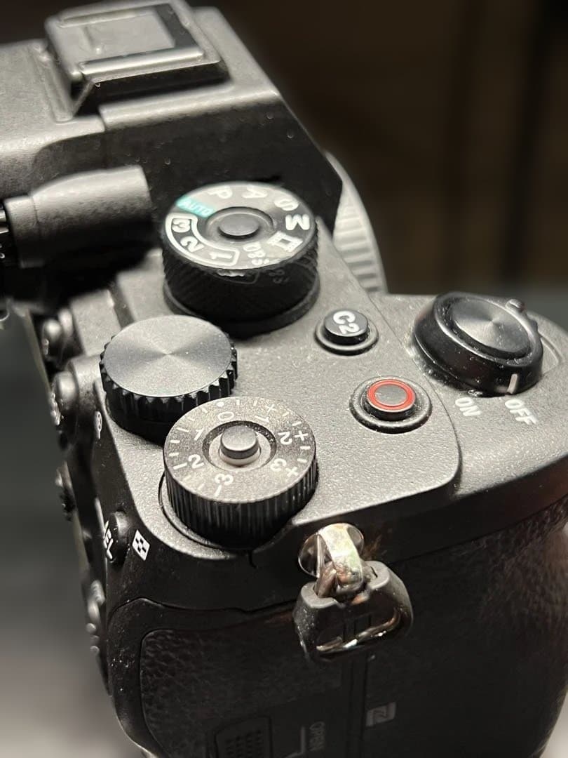 SONY α7Sⅲ ILCE-7SM3 撮影回数637枚 アクセサリー付き