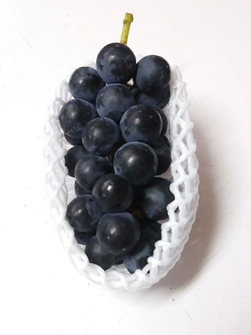 長野県産　シャインマスカット・ナガノパープル・シナノスマイル　送料無料